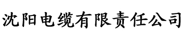 国产大龄韵母亲子乱中文电缆厂logo